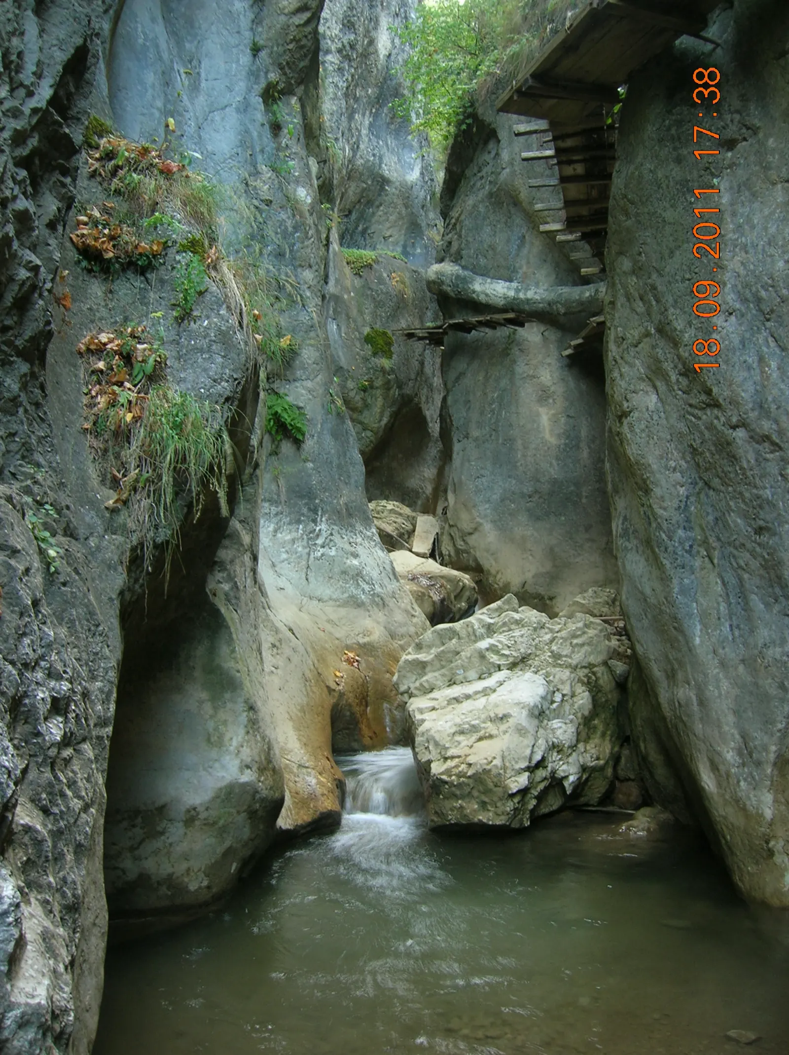 Fotografia 2 din 4, Cheile Șugăului – Munticelu